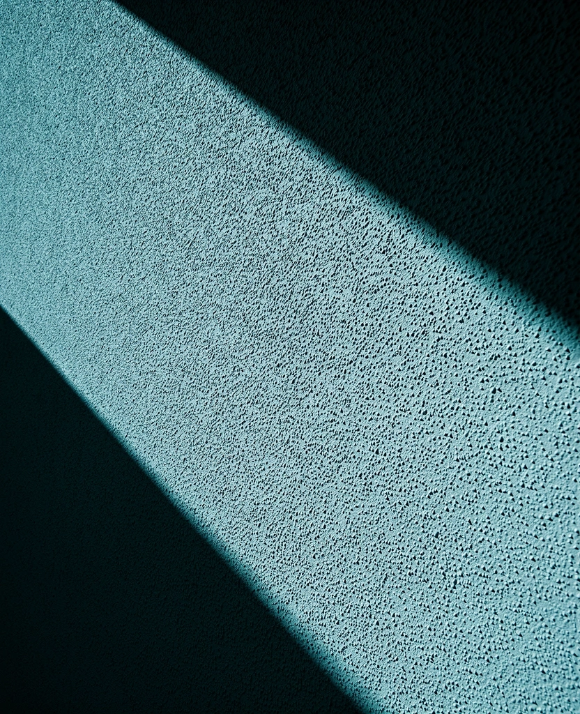 Evolución constante